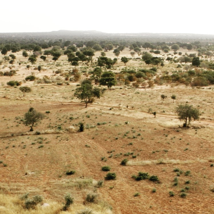 img_20170116_220348_312