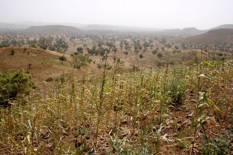 img_20170117_083101_379