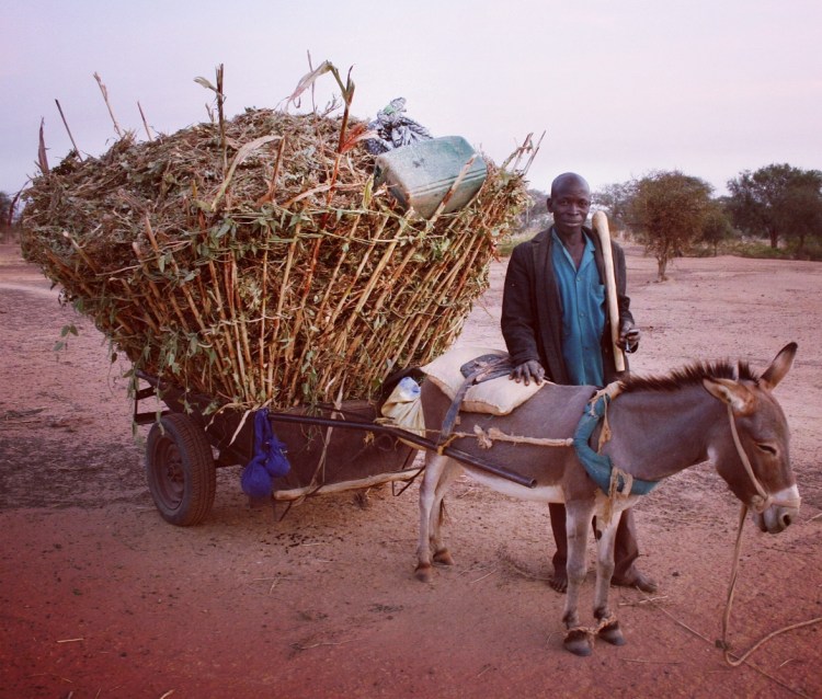 img_20170117_213703_850