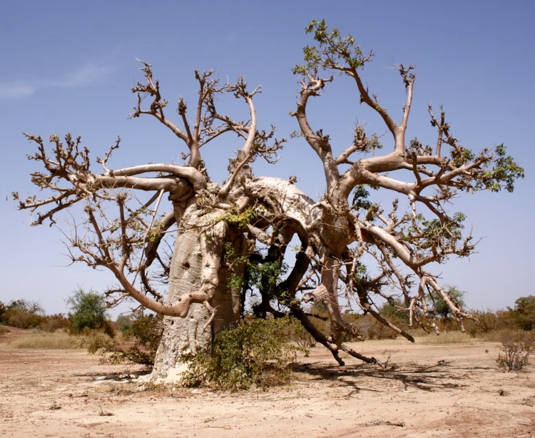 img_20170118_083646_452