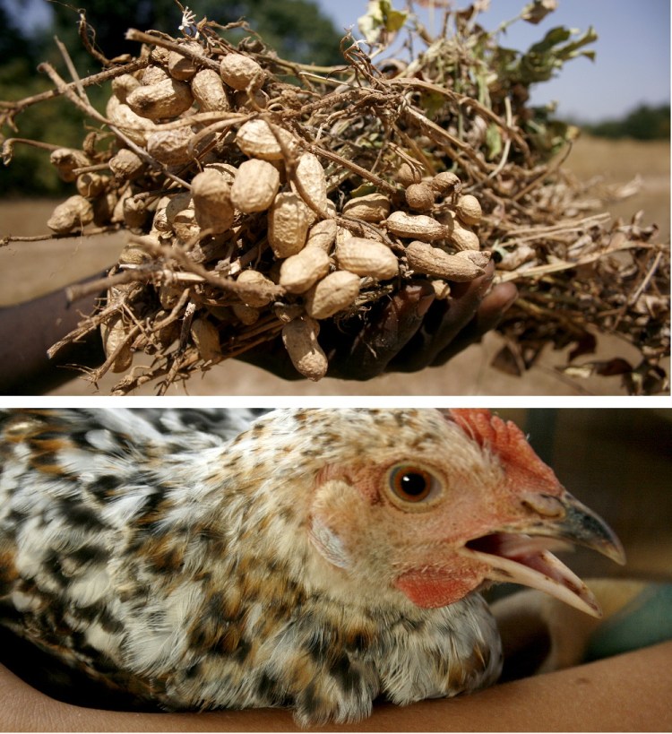 img_20170121_161659_405